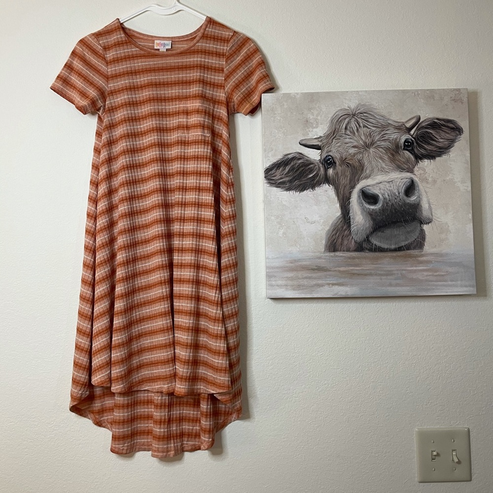 BNWOT Carly Dress
